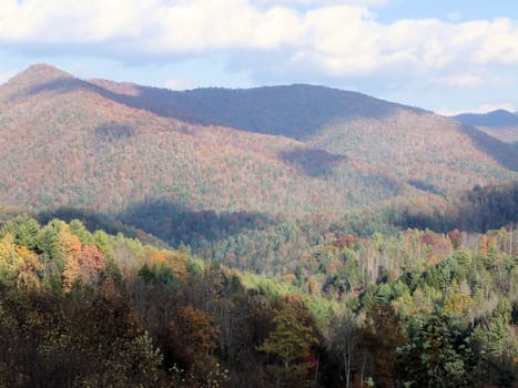 Asheville in the fall