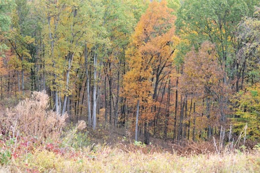 Brown County State Park