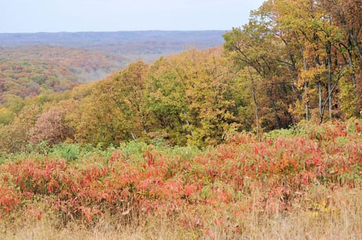 Brown County State Park