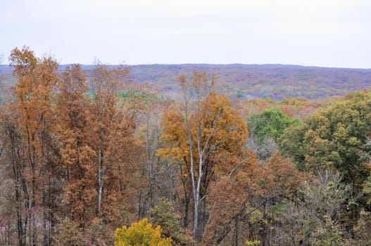 Brown County State Park