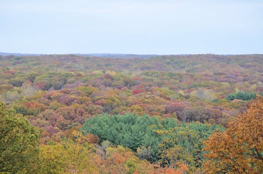 Brown County State Park