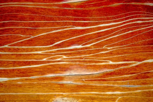 Background wood grain surface.