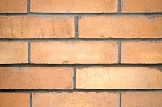 Interesting background is a wall of brown brick.
