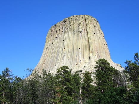 Devils Tower