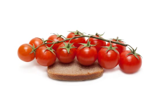 Branch red tomato cherry on piece of the pumpernickel