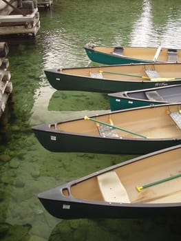 The bows of several canoes floating on clear green water.