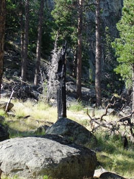 Devils Tower