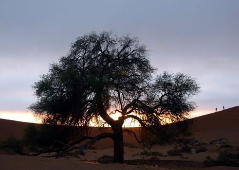 Sunrise in the desert: Sussusvlei, Namibia