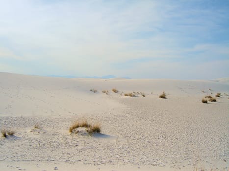 White Sands