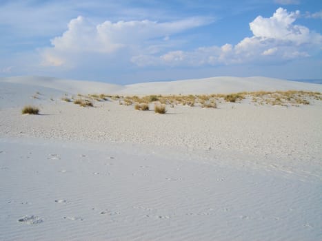 White Sands