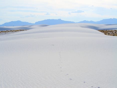 White Sands