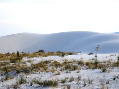 White Sands