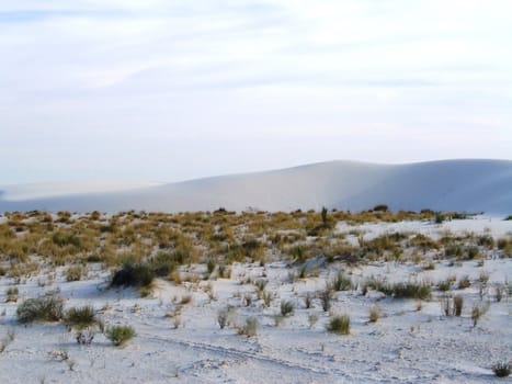 White Sands