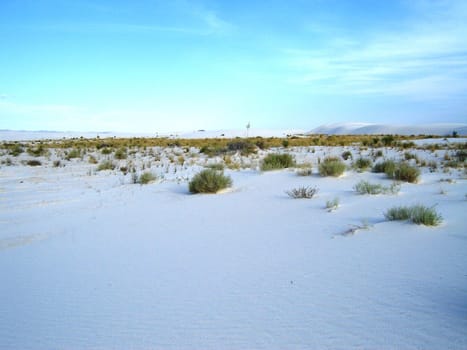 White Sands