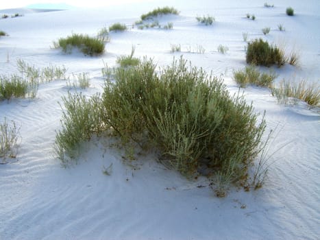 White Sands