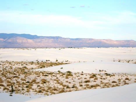 White Sands