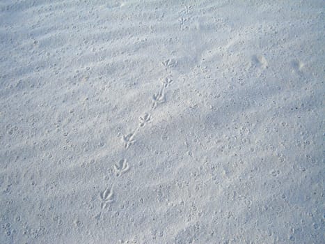 White Sands