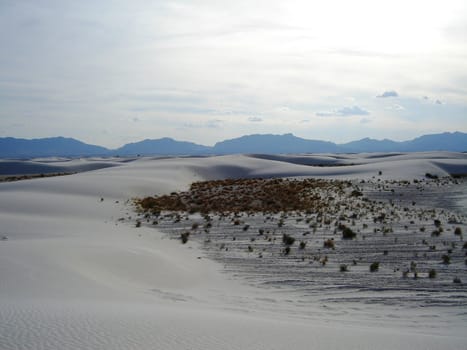 White Sands