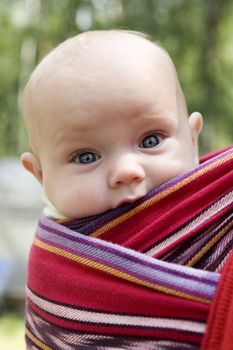 little cute girl six month old sitting in sling looking in camera. Summer time
