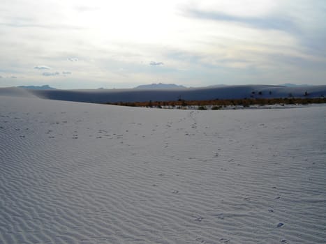 White Sands