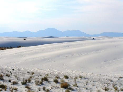 White Sands