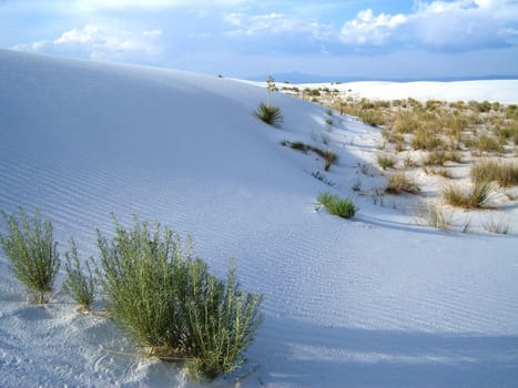 White Sands