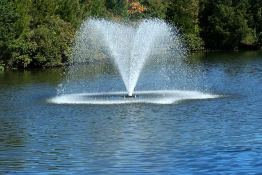 A Fountain on a pond