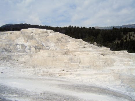 Yellowstone National Park View