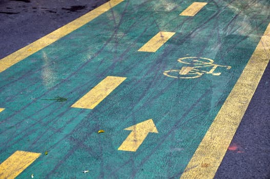 Bicycle track with sign of a bike and an arow