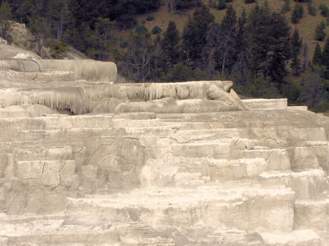 Yellowstone National Park View