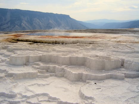 Yellowstone National Park View