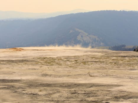 Yellowstone National Park View