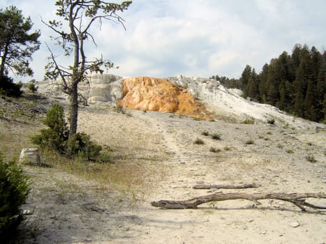 Yellowstone National Park View