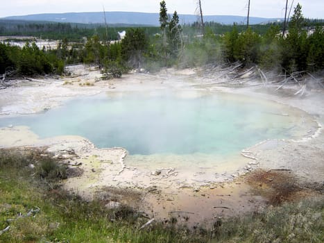 Yellowstone National Park View