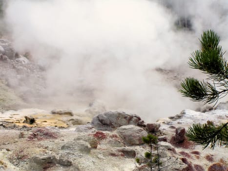 Yellowstone National Park View