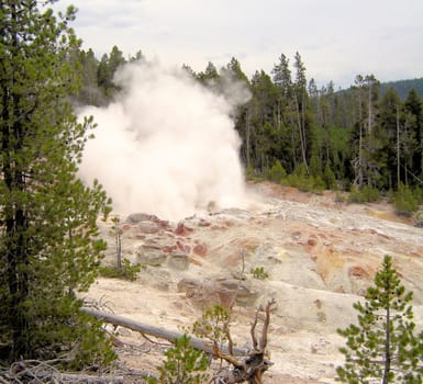 Yellowstone National Park View