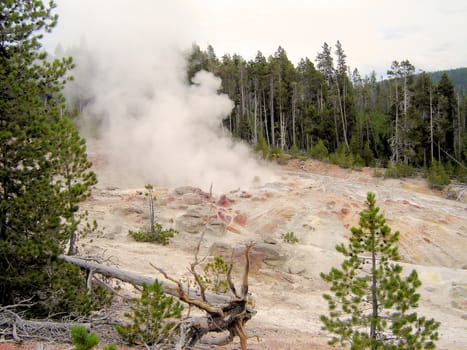 Yellowstone National Park View