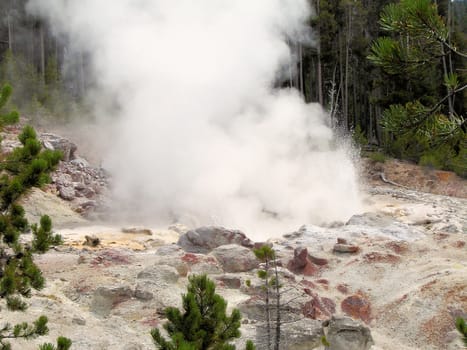 Yellowstone National Park View