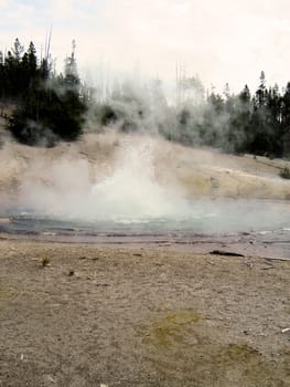 Yellowstone National Park View