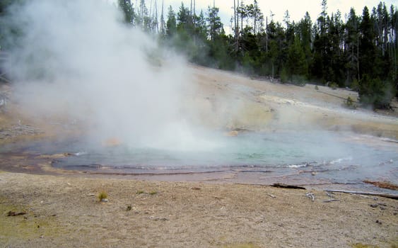 Yellowstone National Park View