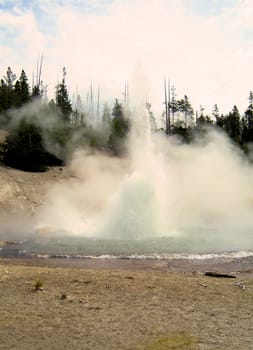 Yellowstone National Park View