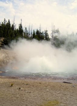 Yellowstone National Park View