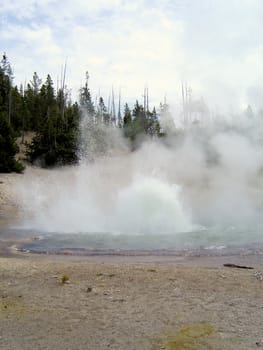 Yellowstone National Park View