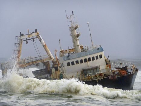 Relict in front of the Skeleton Coast, Namibia