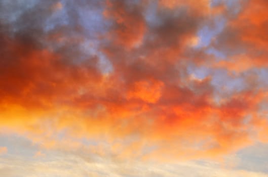 Orange clouds at sunset contrasting the blue sky.