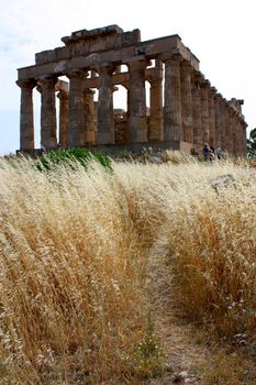 Temple of Magna Grecia, Valle dei Templi, Sicilia, Italia