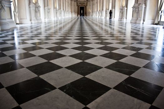 Diana's Gallery in Venaria Reale (Italy) royal palace