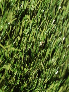 Detail of green grass artificial lawn meadow, useful as a background