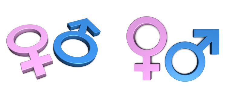 blue male/pink female symbol isolated with slight shadow on white from angle and front