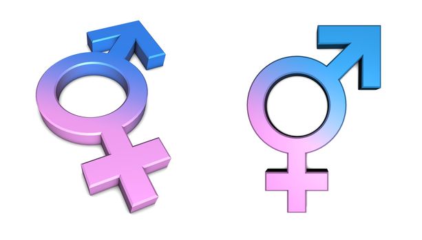 blue male/pink female symbol isolated with slight shadow on white from angle and front